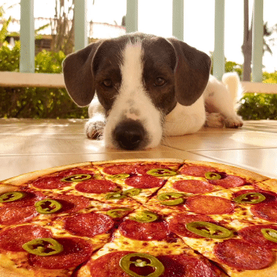 Dominos Pizza GIF by Domino’s UK and ROI - Find & Share on GIPHY.gif